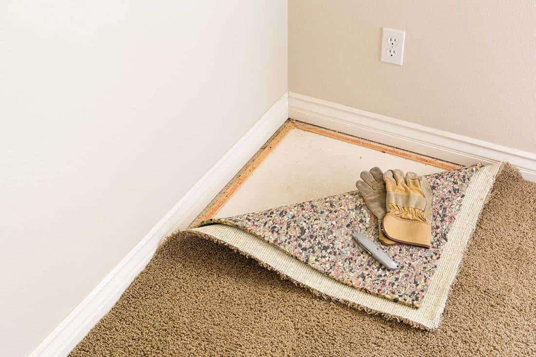 Carpet Pad Replacement