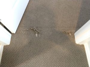 Carpet Repair Denver